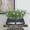 16" Clear Glass Kitchen Serving Bowl with Black Wooden Stand